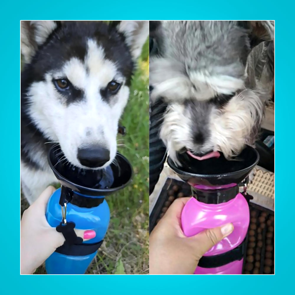 AcquaDog - Bottiglia/Borraccia da viaggio portatile per cani - 500 ml. acqua