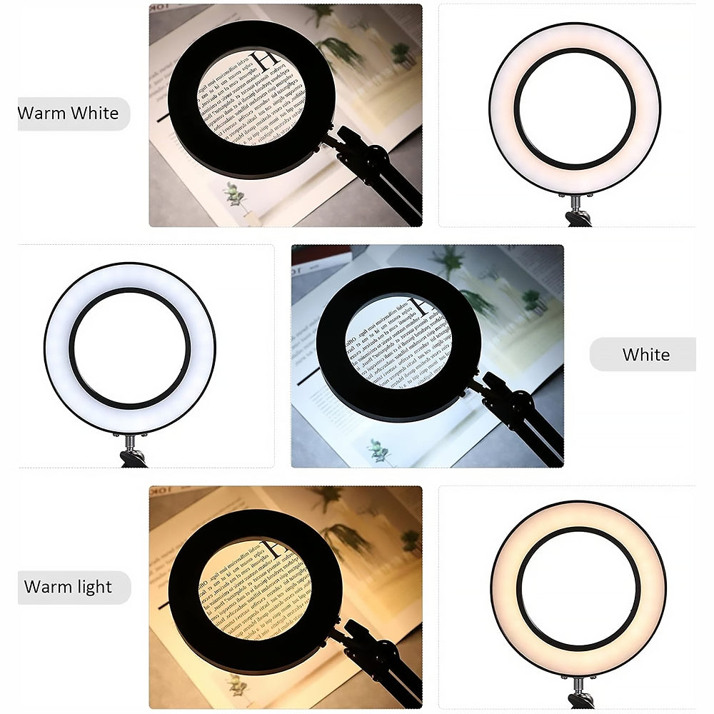 Lampada Lente ingrandimento 10X a LED - 3 modalità di colore per Estetica, Tatuaggi, Modellismo, Lettura e Lavori di Precisione