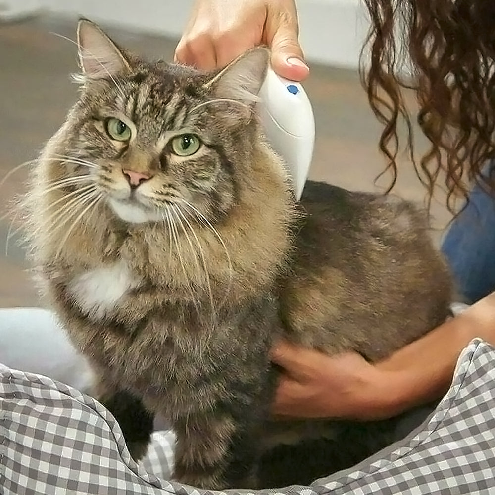 Pet Flea Cleaner - Spazzola Elettrica per Animali Domestici - Gatti e Cani